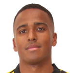 N. Eliasson N. Eliasson