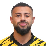 P. Fernandes P. Fernandes