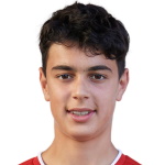 A. Pavlović A. Pavlović