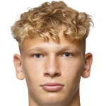 L. Querfeld L. Querfeld