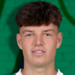 N. Bajlicz N. Bajlicz