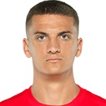 N. Cvetković N. Cvetković